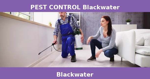 PEST CONTROL Blackwater